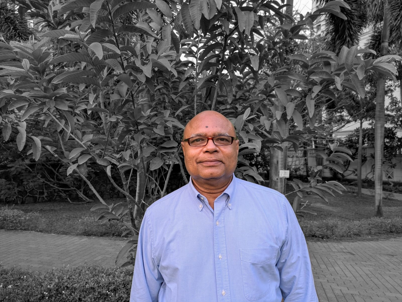 Nitul Ojha
